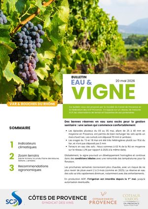 Bulletin Vigne&eau N°2 2026