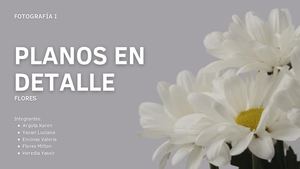 Plano en Detalle