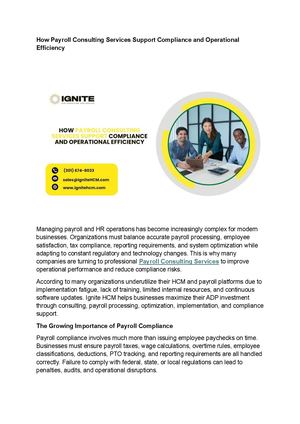 Payroll Consulting Services