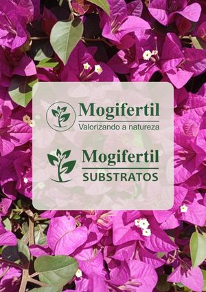 Catálogo Mogifertil 2026