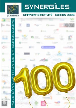 Rapport d'activité Synergîles 2025