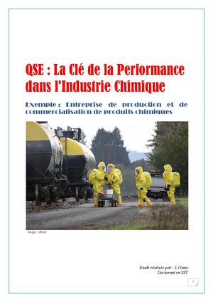 Etude Qse La Clé De La Performance Dans L'industrie Chimique