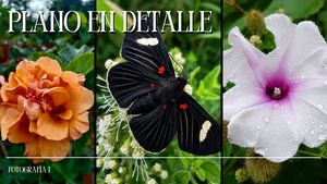 Planos En Detalle