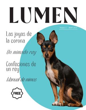 lumen