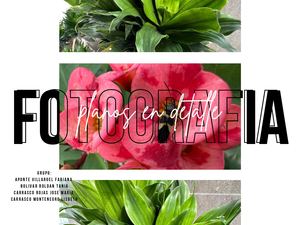 Plano En Detalle
