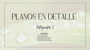 Planos En Detalle
