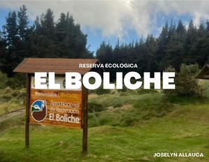 Albúm Boliche