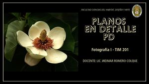 PLANO EN DETALLE