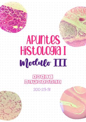 Apuntes Histología MIII A.H