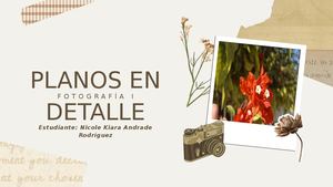 Planos En Detalle