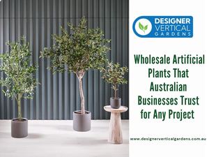 Wholesale Artificial Plants That Australian Businesses Trust For Any Project