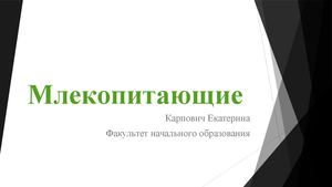 Млекопитающие