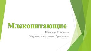 Млекопитающие