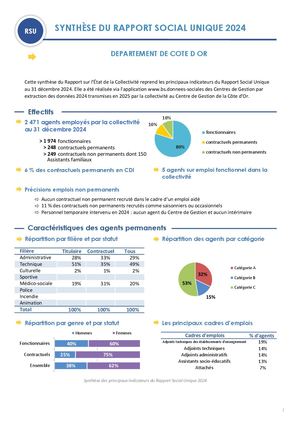 Synthèses du Rapport Social Unique 2024