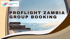 What Are the Proflight Zambia Group Travel Terms and Conditions?