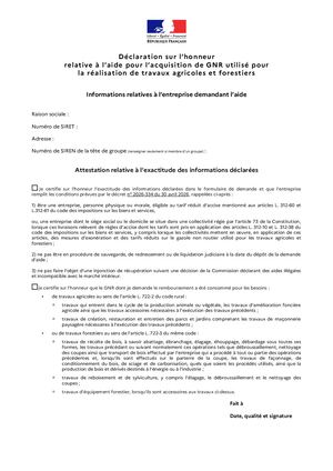 attestation gnr Nid 28317 Declaration Sur Lhonneur