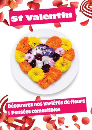 Story St Valentin 2026