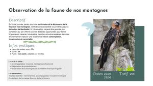 Offres Estivales 2026 Fiches Presentation