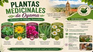 Libro 1 1