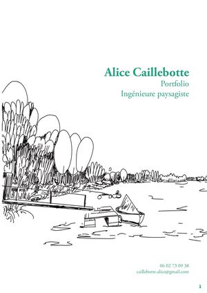 Portfolio Alice Caillebotte Removed