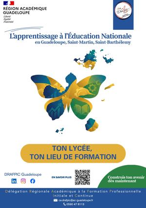L'apprentissage À L'Éducation Nationale