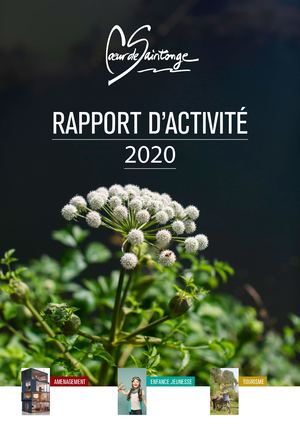 Rapport d'activités 2020