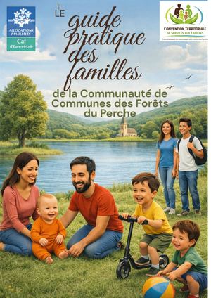 Le Guide Pratique Des Familles Ccfp 3