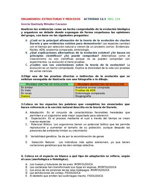 Actividaees De Organismo