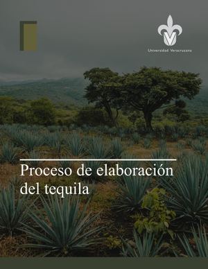 Proceso de elaboración del tequila