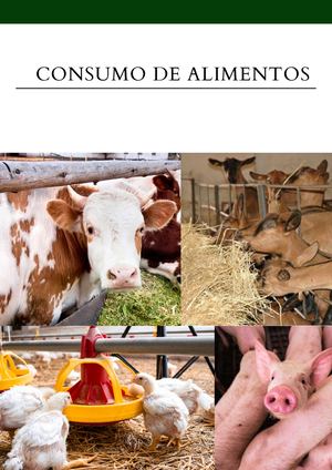 CONSUMO DE ALIMENTOS