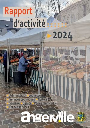 Rapport Activité 2024