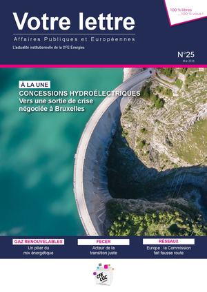 Mai 20265 Lettre Affaires Publiques Europe et International