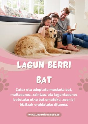 Ven Y Adopta Una Mascota Para Darle Un Hogar Lleno De Amor, Cuidados Y Compañía Que Transformará La Vida De Ambos