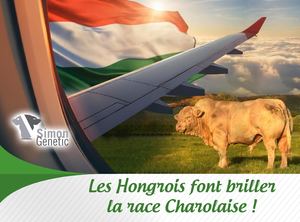 Hongrie 052026