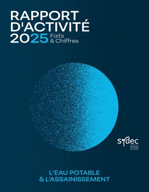 Rapport 2025 Eau/Assainissement