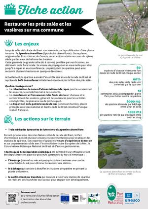 Fiche Action Spartine