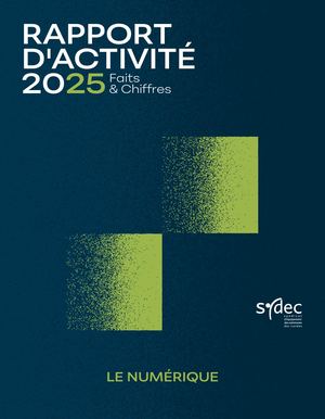 Rapport 2025 Numérique