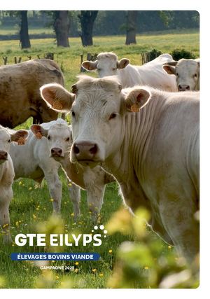 EILYPS GTE Viande 2026