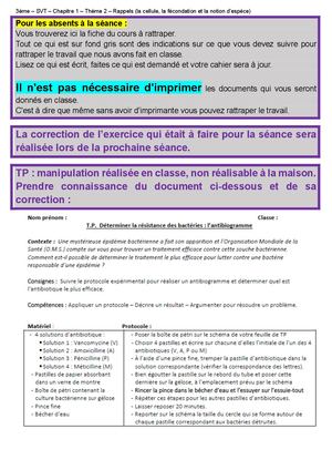 3 Ch6 A4 Tp (Antibiogramme)