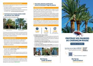 PROTÉGEZ VOS PALMIERS DU CHARANÇON ROUGE 