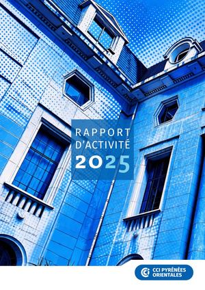 Rapport Activité 2025