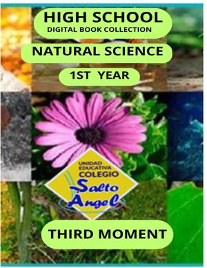 Ciencias Naturales 1st Year 3rd Moment