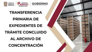 Transferencia Primaria 01