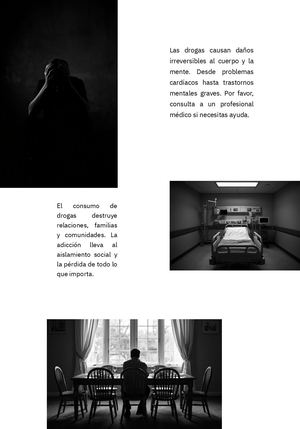 Revista Catalogo Alta Moda Moderna Café