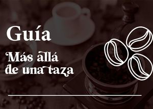Guía De Cartilla