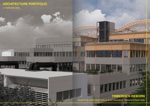 Tinbergen Reborn (Adaptive Integration & Sustainable Transfermation)