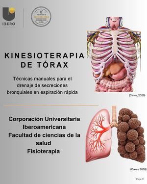 Kinesioterapia De Tórax Corrección