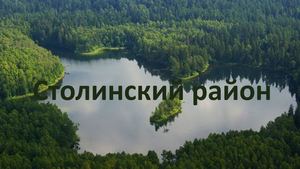 Столинский район