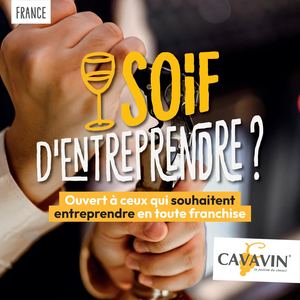 Plaquette Cavavin 2026 France
