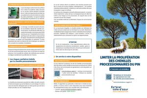 LIMITER LA PROLIFÉRATION DES CHENILLES PROCESSIONNAIRES DU PIN 